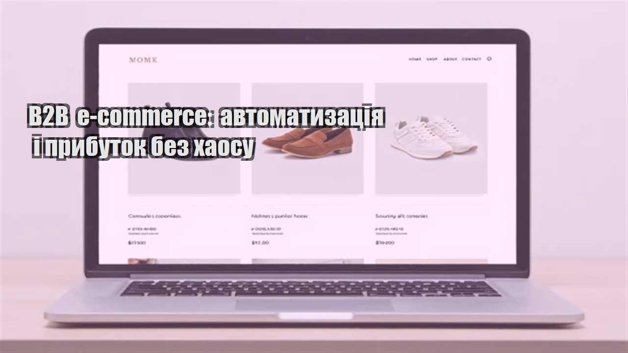 Детальніше про статтю B2B e-commerce: автоматизація і прибуток без хаосу