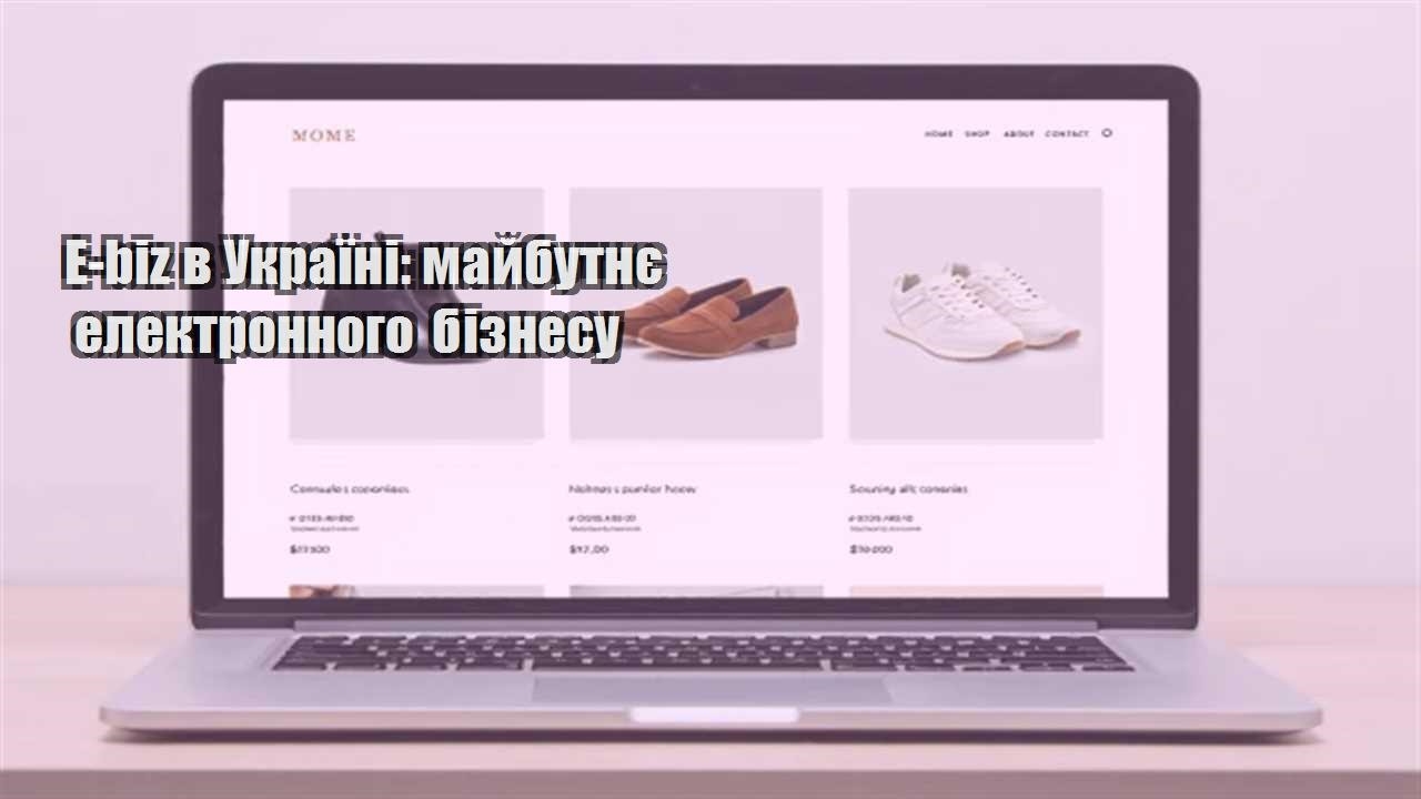 Детальніше про статтю E-biz в Україні: майбутнє електронного бізнесу
