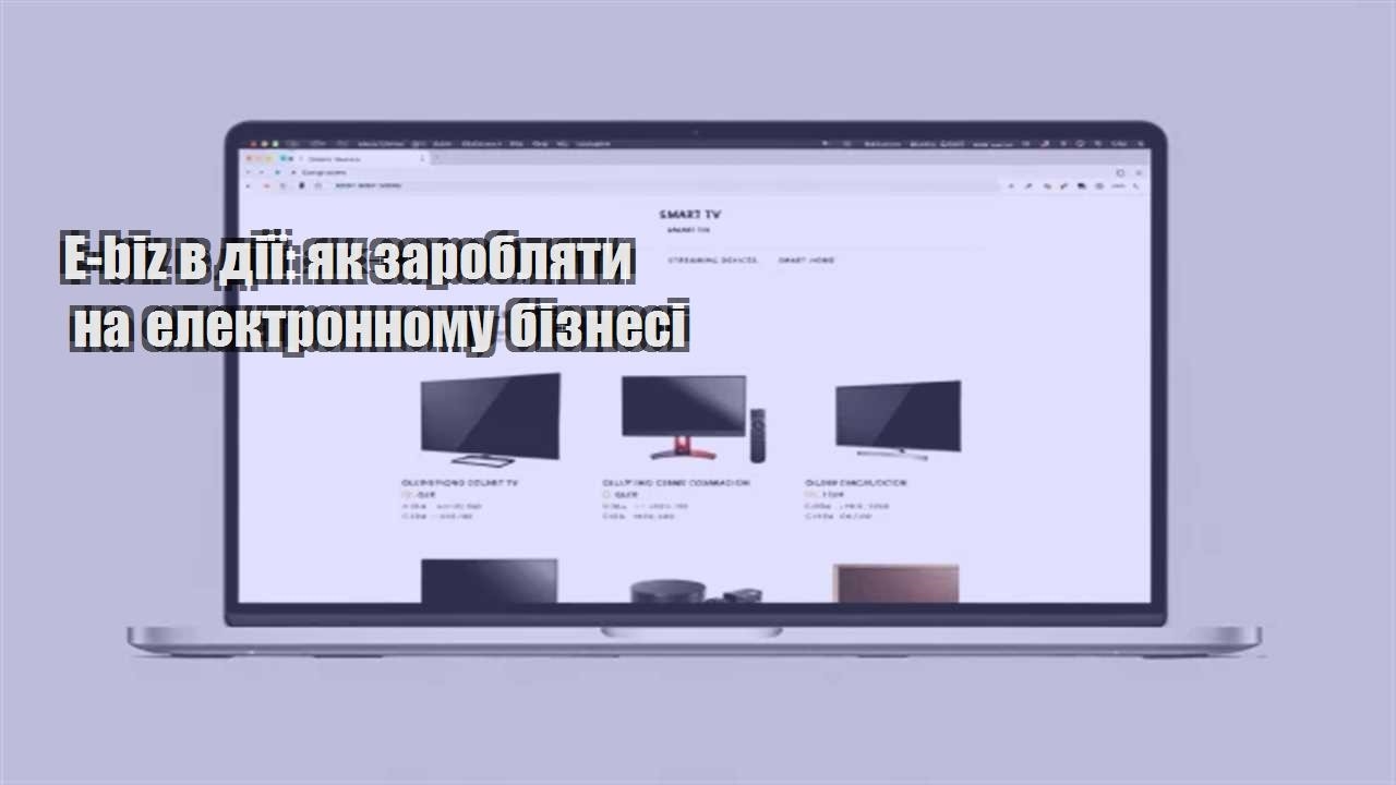 Детальніше про статтю E-biz в дії: як заробляти на електронному бізнесі